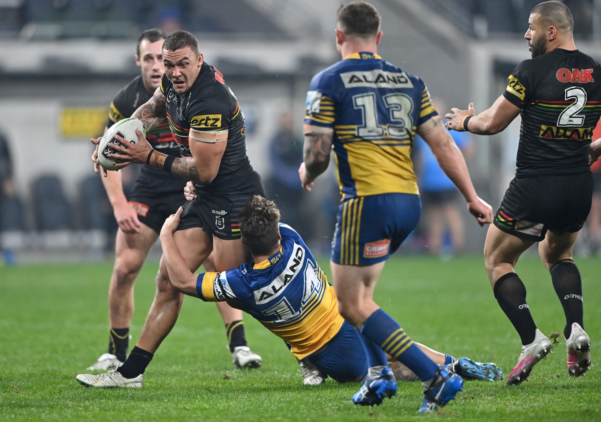 National Rugby League - Fisher Harris